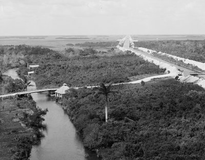 Drainage Canal and Everglades, Miami, Florida by Detroit Publishing Co.